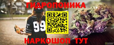 МДМА Новодвинск
