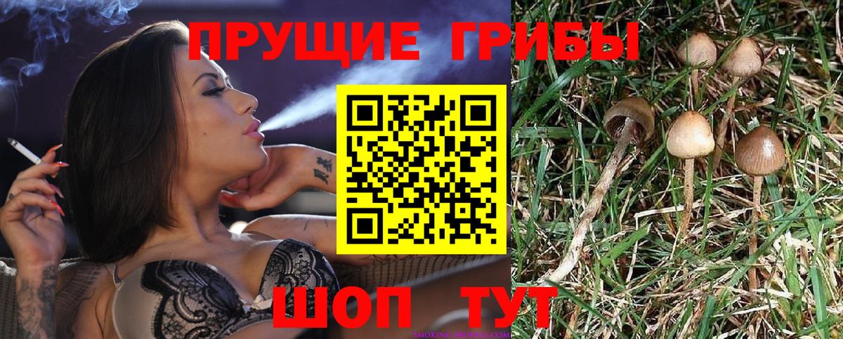 Ставрополь  Псилоцибиновые грибы мухоморы  Вход с VPN 