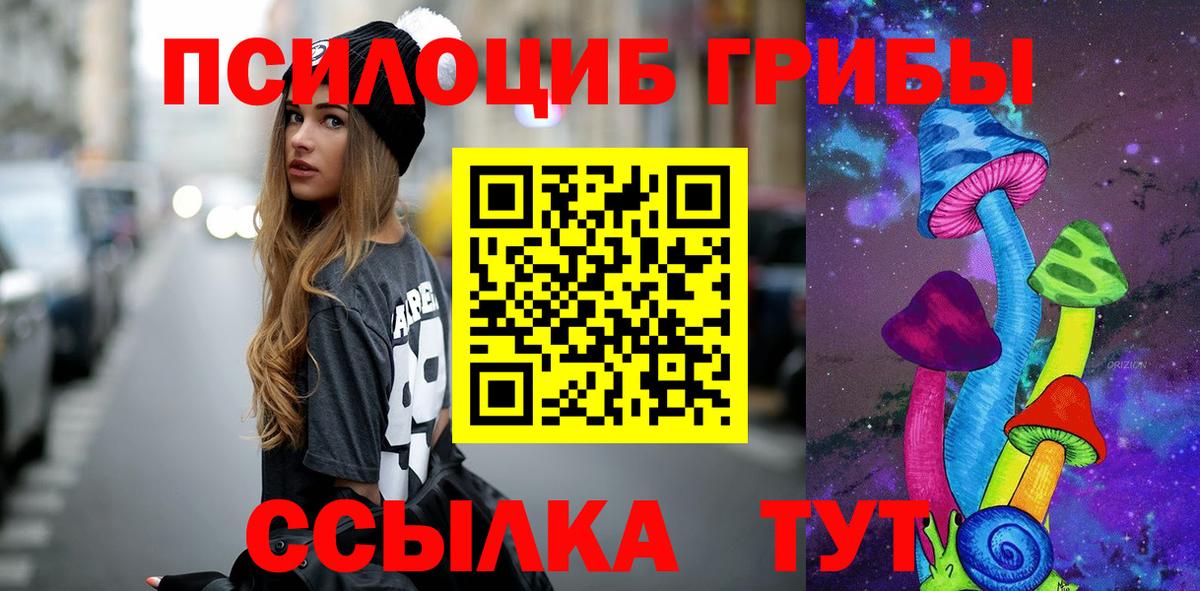 Псилоцибиновые грибы Cubensis Ставрополь